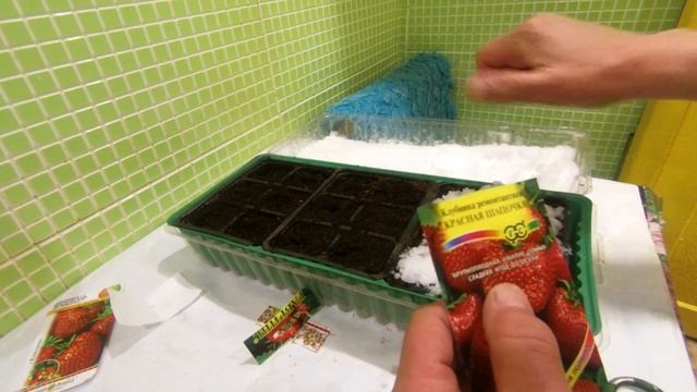 СЕКРЕТ ПОСАДКИ РЕМОНТАНТНОЙ ЗЕМЛЯНИКИ.ОСОБЕННОСТИ ПОСАДКИ. смотреть онлайн