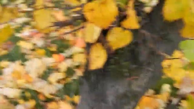 Осенняя пора, очей очарованье смотреть онлайн