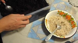 Домашняя культура энхитреуса или как кормить червя овсянкой?