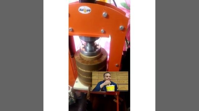 От закладки семян до набранных бутылок. Масло из льна и подсолнуха на заказ смотреть онлайн