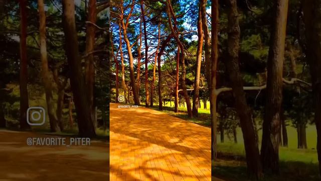 Кисловодский национальный парк. смотреть онлайн