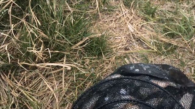 Рыбалка. Майский карась. Озеро Сугояк (Fishing May carp Lake) смотреть онлайн