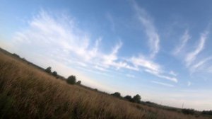 Песни про Охоту. Охота с Легавой