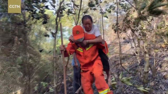 Chongqing Municipality battles wildfires amid extreme heat смотреть онлайн