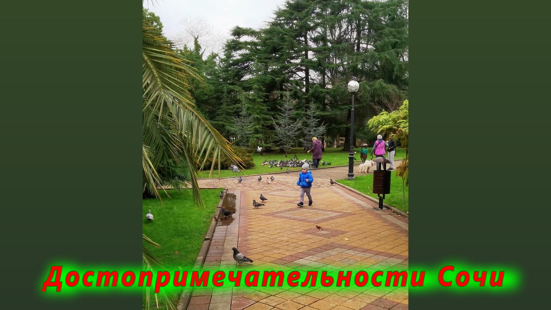 Достопримечательности Сочи смотреть онлайн