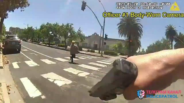 Шизанутая баба / Применение оружия полицией смотреть онлайн