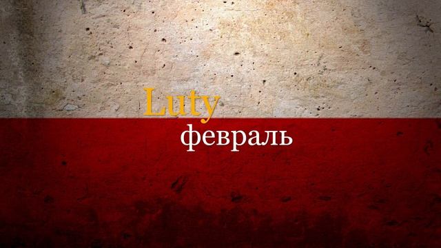 Дни недели и месяцы на польском языке смотреть онлайн