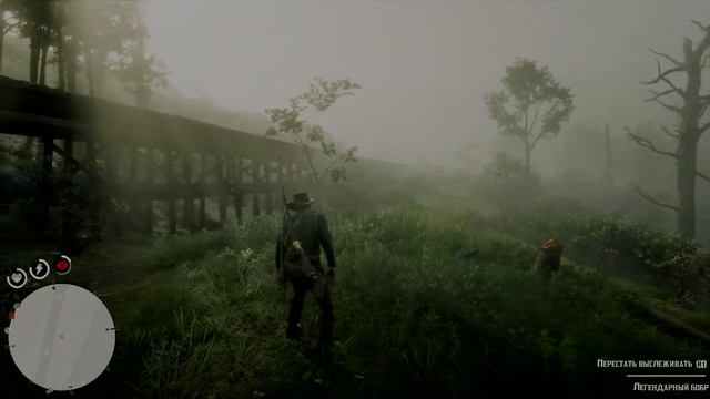 ЛЕГЕНДАРНЫЙ БОБР РДР2 смотреть онлайн