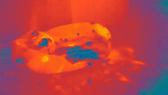 FLIR VUE PRO R - Malinois Test . смотреть онлайн