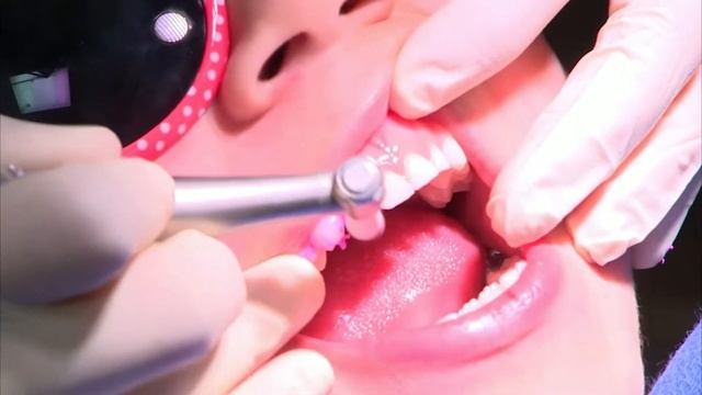 2022 TOOTH Virtual 1st & 2nd Grade Lesson (Full Length) смотреть онлайн
