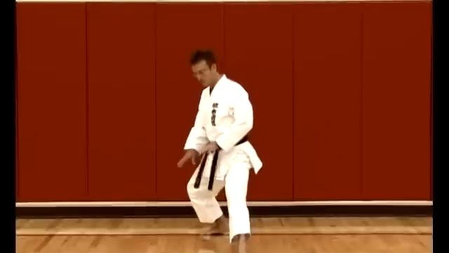Basic Karate Stances смотреть онлайн