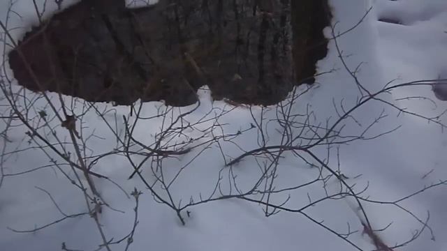 Последний снег этой зимы смотреть онлайн