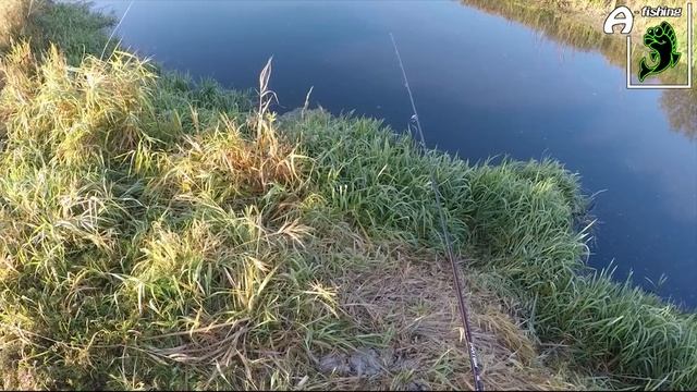 Ловля щуки осенью на резину смотреть онлайн