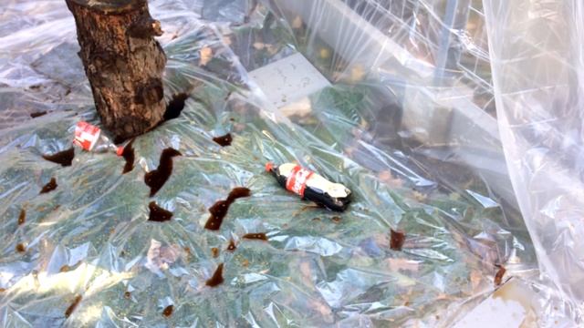 СМОТРЕТЬ ВСЕМ!!! ВЗОРВАЛ БАЛОН С ПЕНОЙ(((((((((