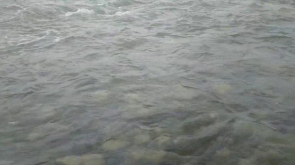 Река течёт очень красиво, расслабление, фон видео.The river flows very beautifully, relaxation.(2)