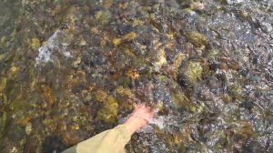 р.Томь-Нижняя Терсь, Солар 470, Ловим Хариуса