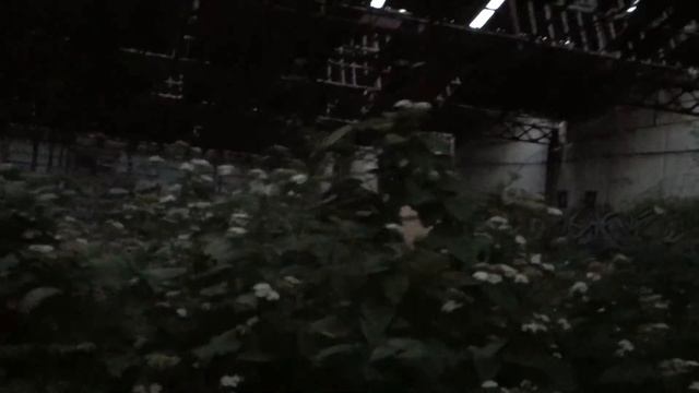 Harrison Ford, I Love You смотреть онлайн