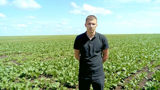Защита яровой пшеницы в Воронежской области смотреть онлайн