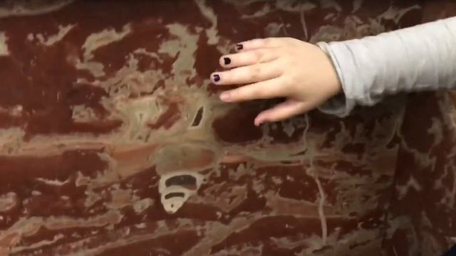 Древняя фауна в Москве - 003 смотреть онлайн
