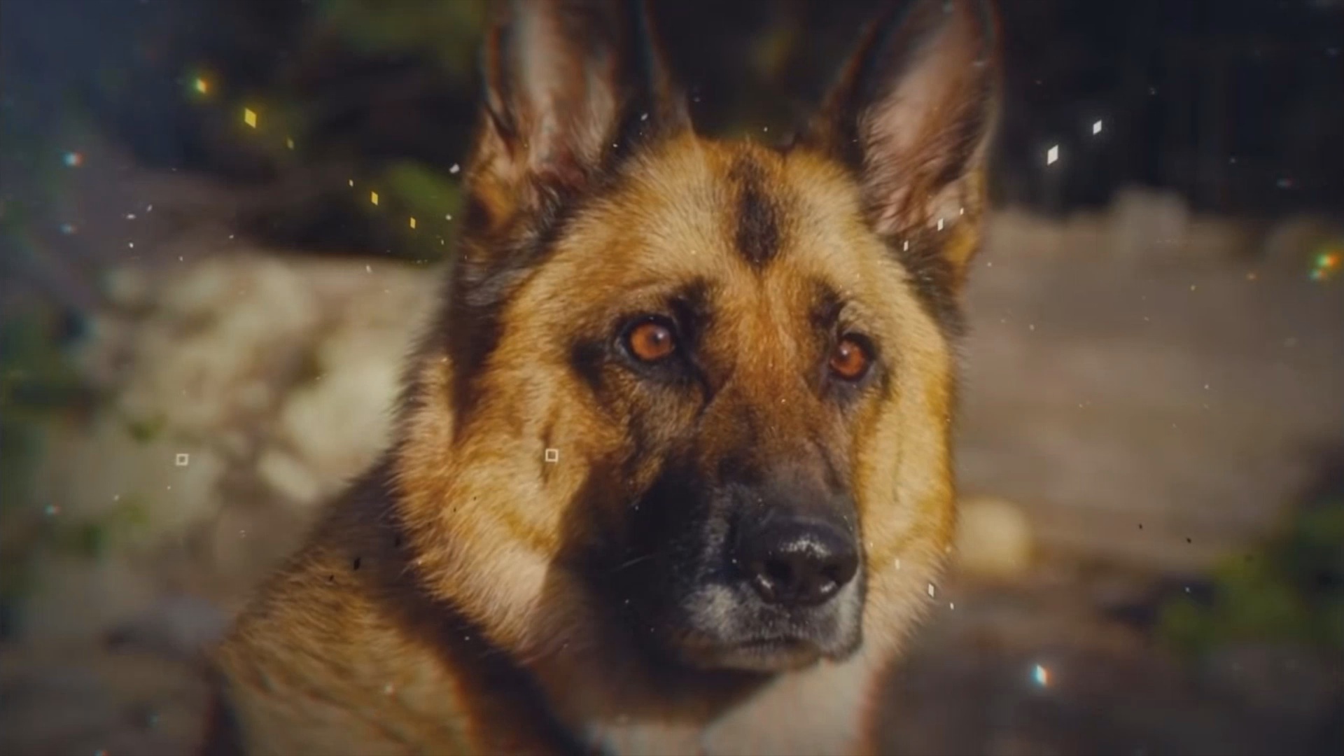 СЕРГЕЙ ТИМОШЕНКО-ВЕРНОСТЬ