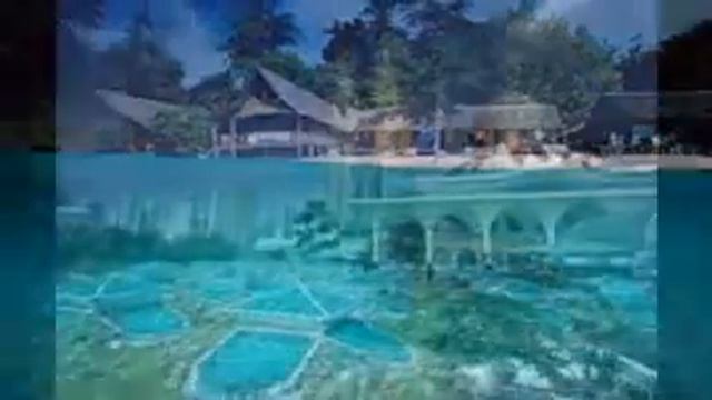 Отдых в Малайзии смотреть онлайн