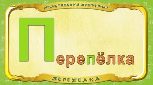 Мультипедия животных. Буква П - Перепёлка