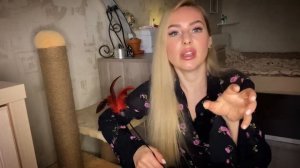 Шотландская вислоухая кошка.характер, особенности породы