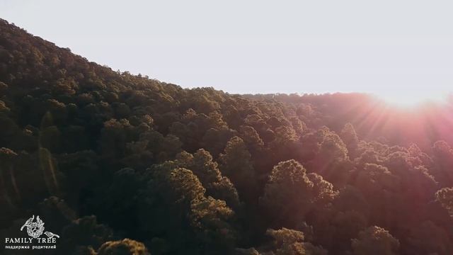 Медитация «Китайские похлопывания» смотреть онлайн