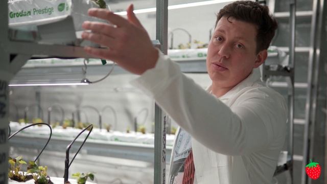 Сити ферма у метро, когда сделано с любовью) смотреть онлайн