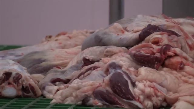 ЮКО будет поставлять баранину в Иран