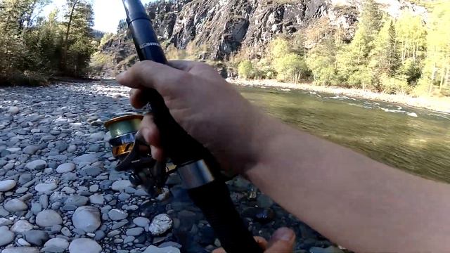 Рыба ушла на самоизоляцию | The fish went into self-isolation смотреть онлайн