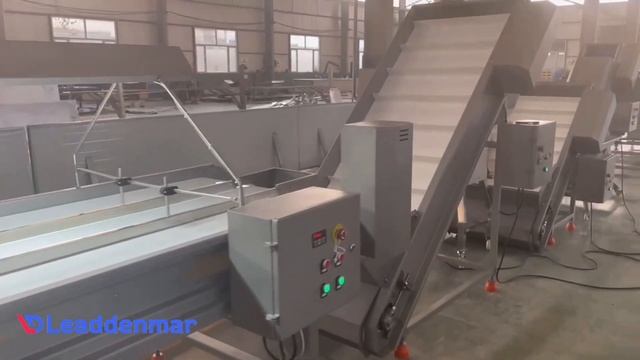 Подающий элеватор - транспортер Leaddenmar 2900 в составе производственной линии. смотреть онлайн