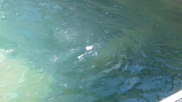 Кай и Герда 28.06.17 смотреть онлайн
