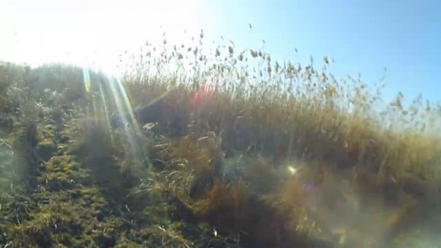 Копия видео SUNP0004 смотреть онлайн