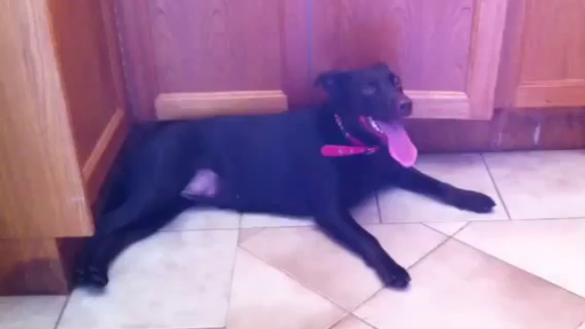 Учащенное дыхание смотреть онлайн