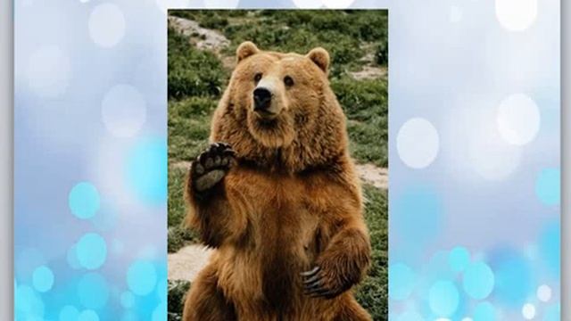 29 04 2020 ИЗО 7 класс ДенисД смотреть онлайн