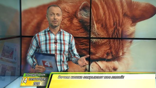 Утренний Фреш 14.09.2020 смотреть онлайн