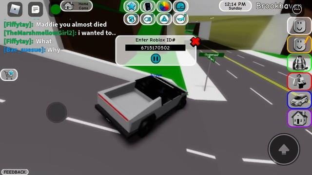 Roblox id codes:) (in Brookhaven) смотреть онлайн