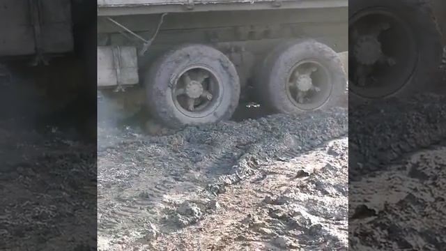 Привезли жом, подтянули на помощь вторую единицу камаза, побыстрому завозим сочные корма жом. смотреть онлайн