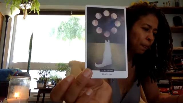 North Node in Scorpio - Channeling Divine Messages!? смотреть онлайн