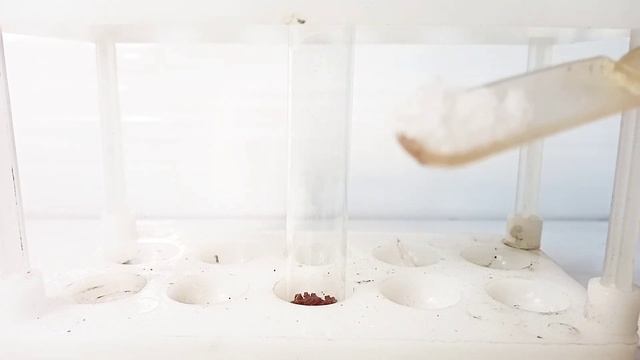 Реакция ФОСФОРА и АММИАЧНОЙ СЕЛИТРЫ. Опыты по химии. Эксперименты дома. Chemical experiment смотреть онлайн