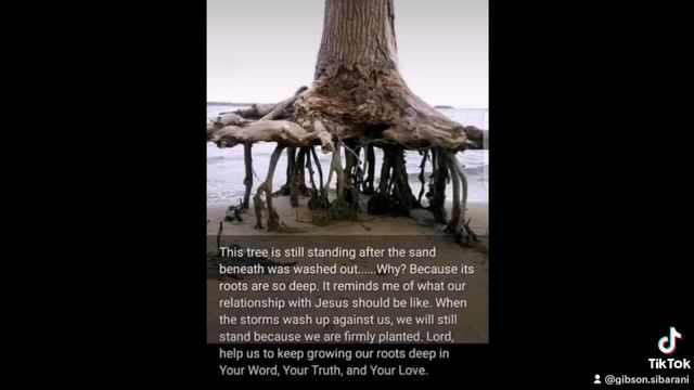 Learn English with the Bible, being rooted in Christ. With Ps. Gibson Sibarani смотреть онлайн
