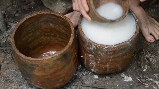 Primitive Technology Polynesian Arrowroot Flour
