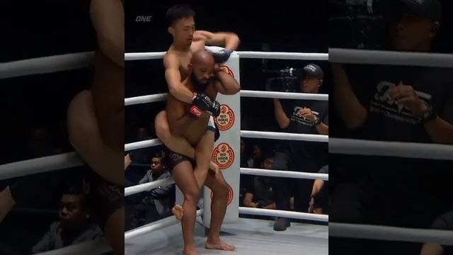 Как удав скрутил и задушил. смотреть онлайн