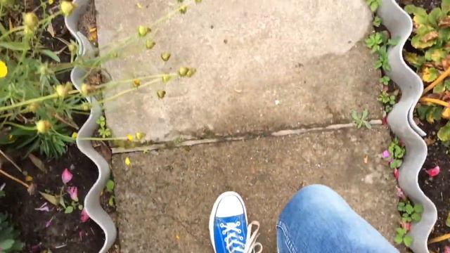 Ещё один прекрасный день жизни | Вдохновение смотреть онлайн