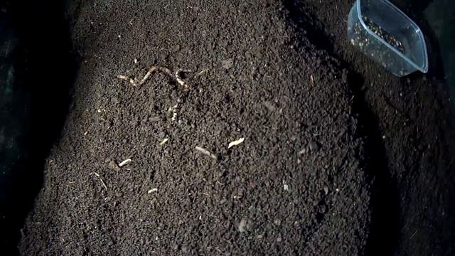 Бизнес в гараже. Деньги начали плодиться ))) смотреть онлайн