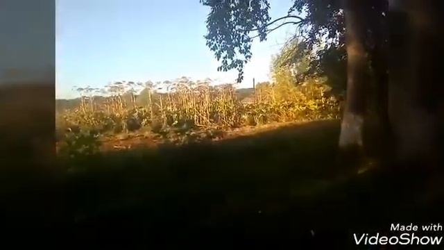 Памятник в деревне Ленино смотреть онлайн