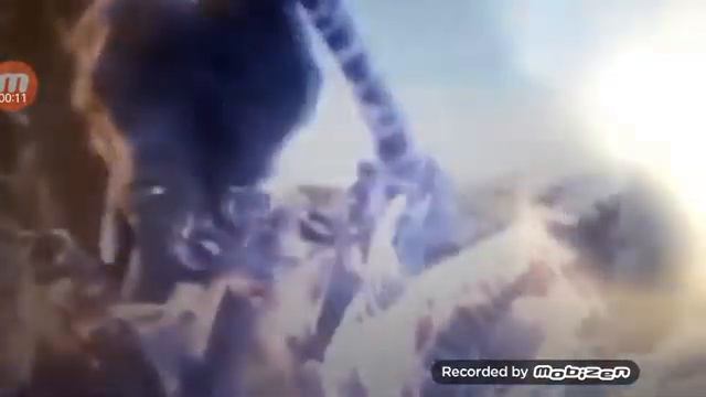 король лев фильм смотреть онлайн