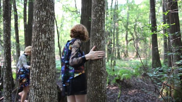 Are You Also Wistful?