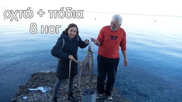 греческие слова и выражения 6 - осьминоги в Греции смотреть онлайн